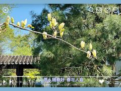 -虎丘山风景名胜区