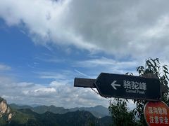 -大岭沟猕猴桃谷风景区