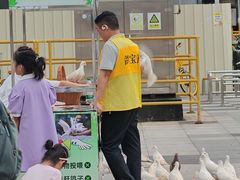 -江燕路万科里