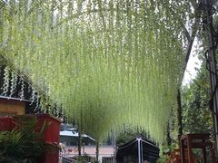 -张鸟园农家乐(张鸟园店)