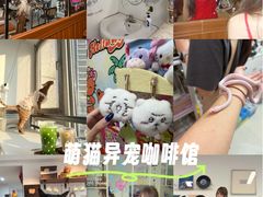 -观音桥步行街