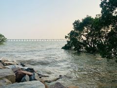 -宝安西湾红树林湿地公园