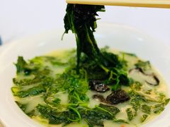 上汤绿线叶-山泉公馆酒家(珠江新城店)