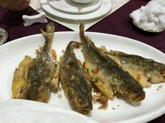 -南京东郊国宾馆