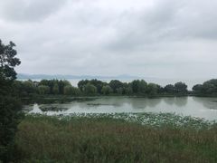 -上海市保健医疗中心