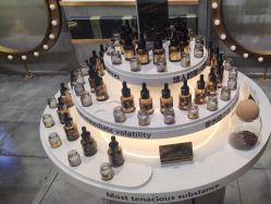 -香遇沙龙香水·调香·团建