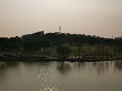 -东莞植物园