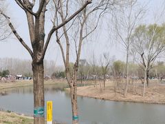 -东郊湿地公园