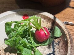 -鸽子窝(青塔店)
