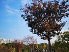 -白塘生态植物园