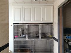 -安安宠医·安宠宠物医院