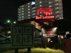 -美国村