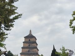 -大雁塔北广场音乐喷泉