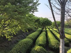 -凤凰沟景区