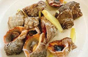 Boiled Sea Snail in Salt Water