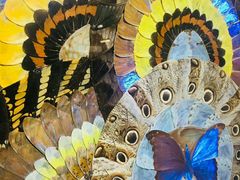 -上海昆虫博物馆