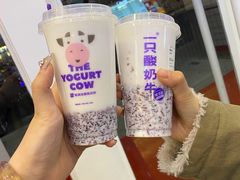 -一只酸奶牛(奎星楼店)