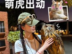 -清迈夜间动物园
