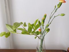 -双季花艺园艺市场(浦东店)