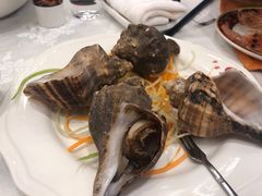 海螺肉-万宝海鲜舫(劳动公园店)