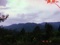 -田心森林公园