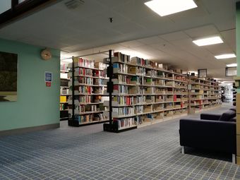 奥克兰大学图书馆