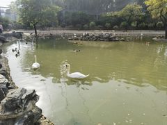 -森林公园(尖草坪区)