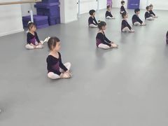 -西安小天鹅艺术团(金花路校区)