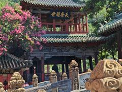 -报恩寺(平武县)