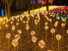 -怡海公园(桂城街道)