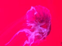 -沈阳海洋探索中心