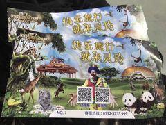 -灵玲国际马戏城
