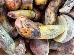 -瑞丰园庭院餐厅·白族传统家常菜