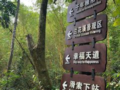 -呀诺达热带雨林