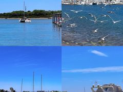 -巧克力渔家.小船海鲜家常菜(万平口店)