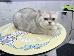 -Oh My Dog宠物沙龙(伊珊娜皮毛护理店)