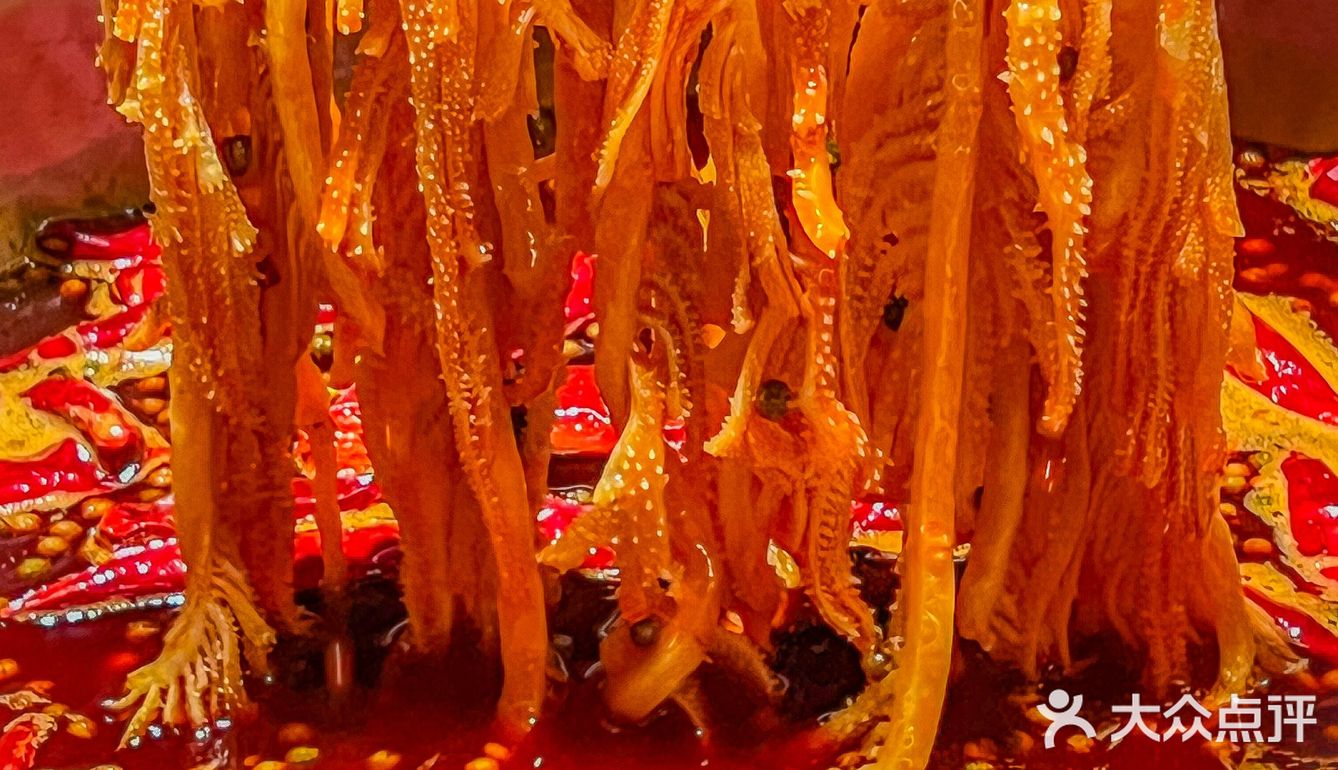 离开上海之前一定要去一次！！?