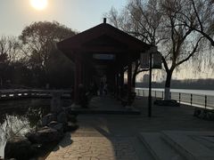 -金银湖国家城市湿地公园