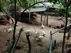 -金堂县云顶石城风景区