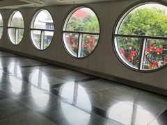 -厦门高崎国际机场-T3航站楼