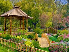 -上海共青森林公园