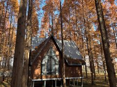 -黄海国家森林公园