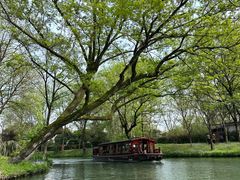 -西溪国家湿地公园