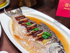 -香港狮子山下·明星粤菜餐厅(北苑店)