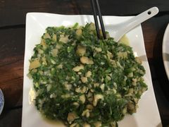 -马帮菜馆·美味野生菌