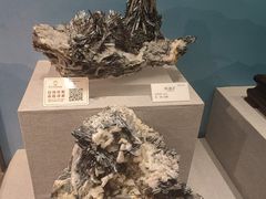 -贵州省地质博物馆