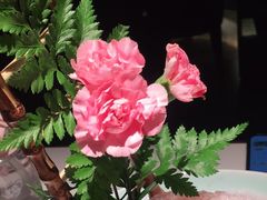 -领鲜天下·焗海鲜·花胶鸡(天目里店)