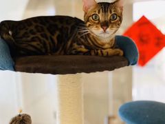 -Me Coffee下午茶艺术空间