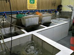 -老船夫石锅苗苗鱼·老字号(三道堰总店)