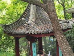 -北极阁公园